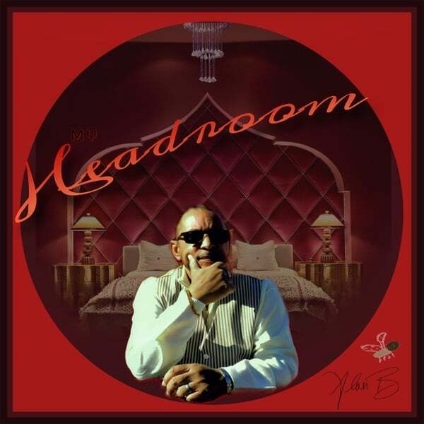 Cover art for My Headroom